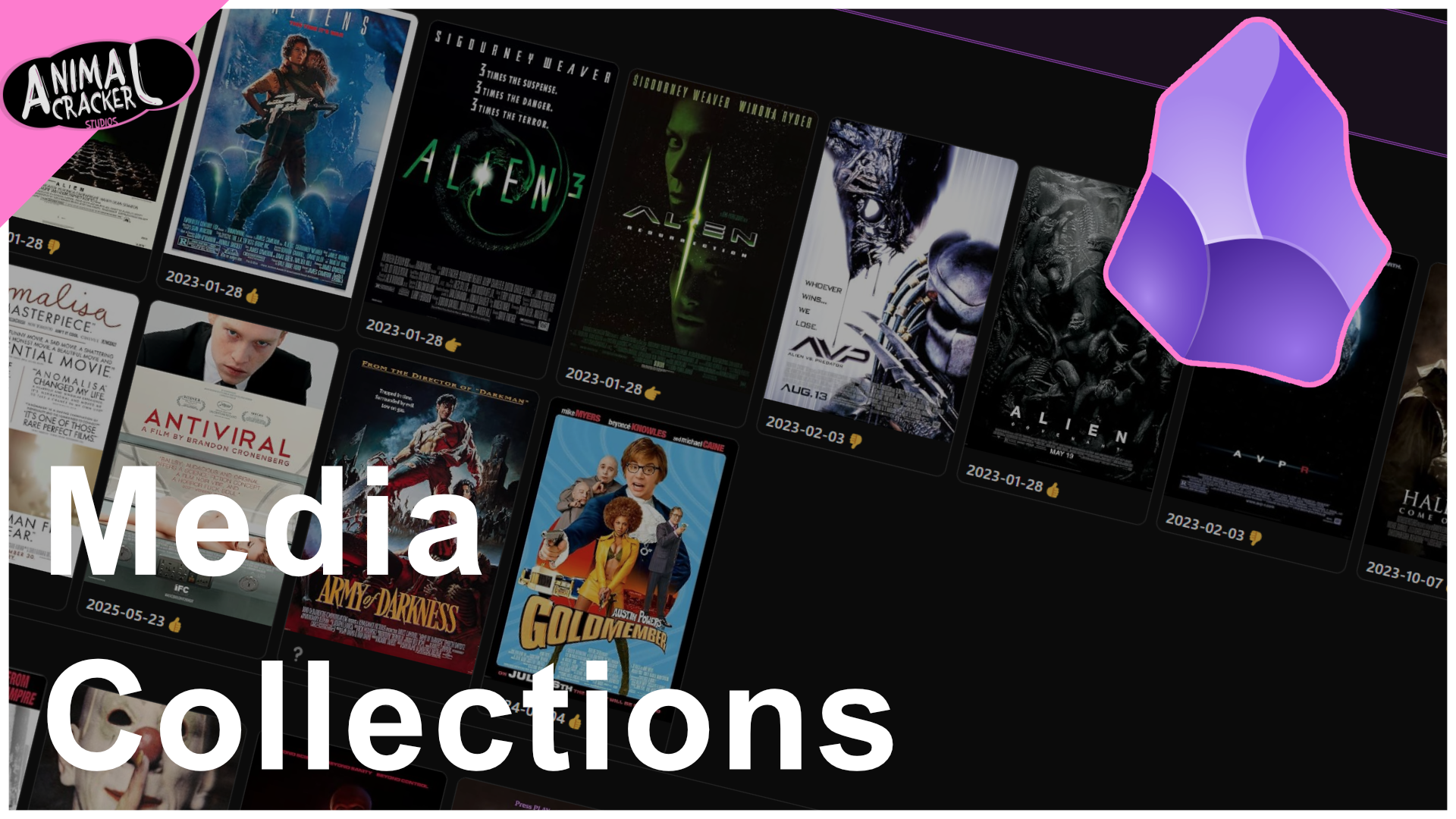 Tracking Movies and My Thoughts | Media Collection Bases